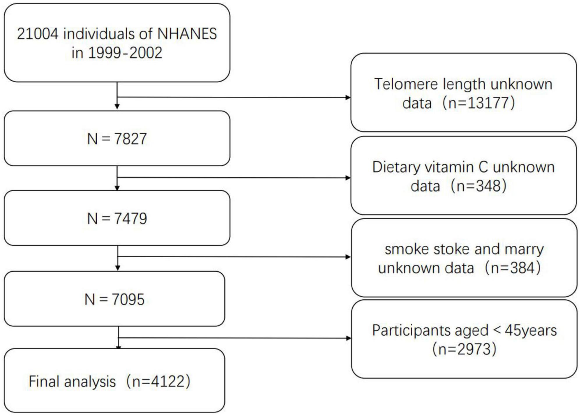 Association between dietary vitamin C and telomere length: A cross-sectional study